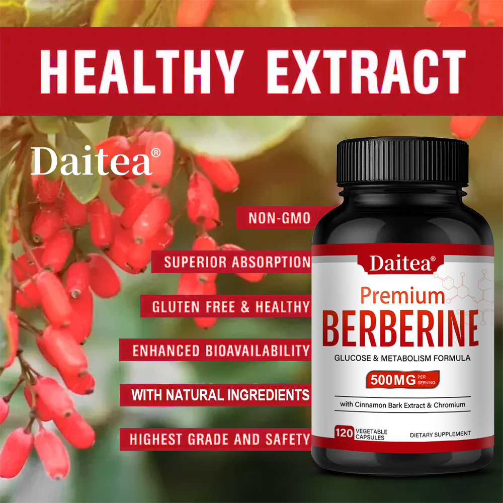 Berberine HCL 500mg Capsules w - Berberine Hcl Capsule ulasan dan harga