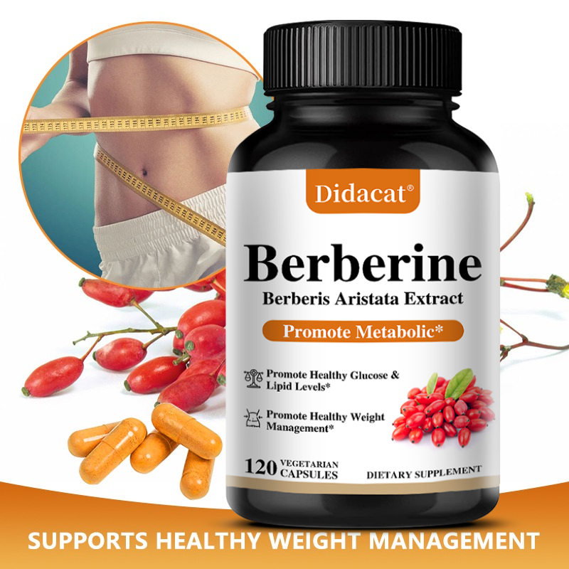 Berberine HCL Capsules 500mg,  - Berberine Hcl Capsule ulasan dan harga