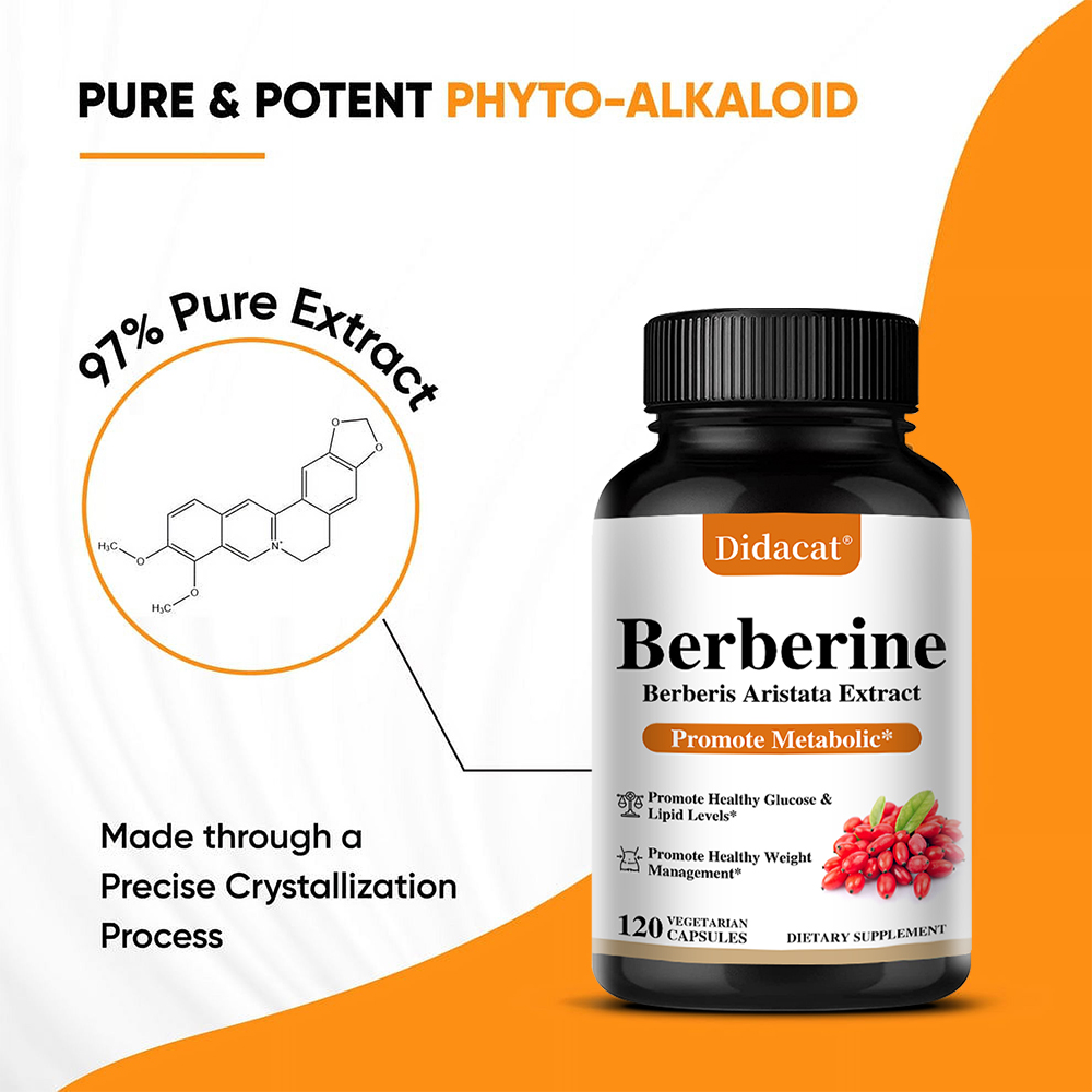 Berberine HCL Capsules 500mg,  - Berberine Hcl Capsule ulasan dan harga
