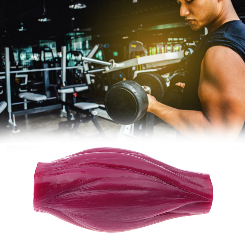 1lb Muscle to Keep Fit & Weigh - Nutrition Fitness Course ulasan dan harga